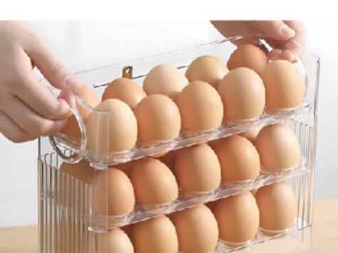 Organizador de ovos