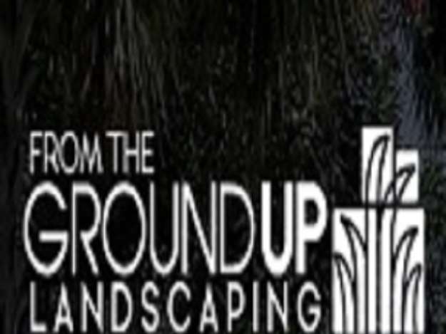 Profile Header Image