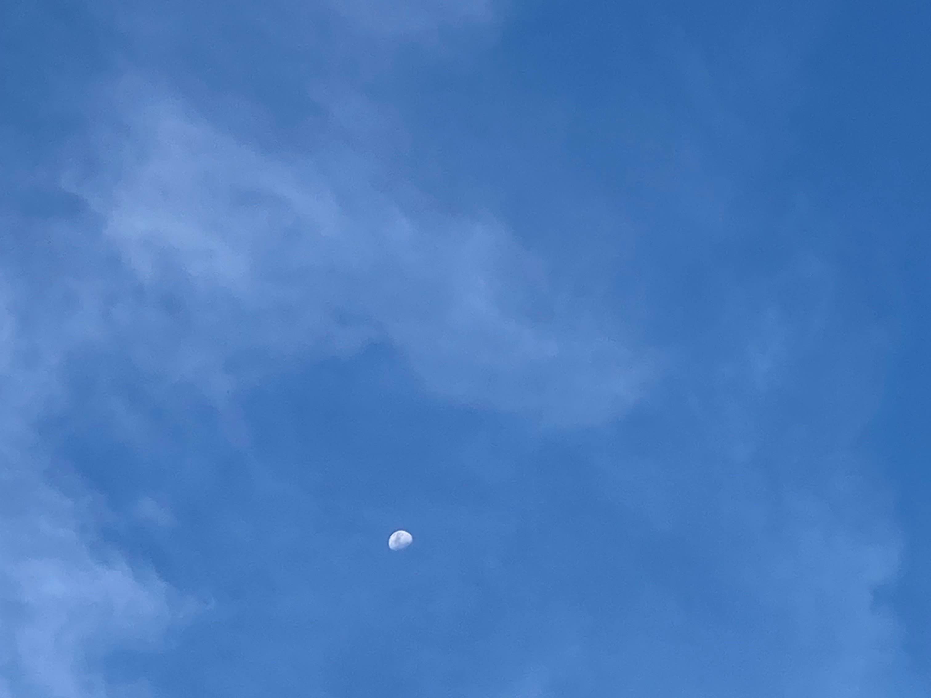 Profile Header Image