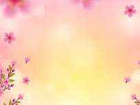 Profile Header Image