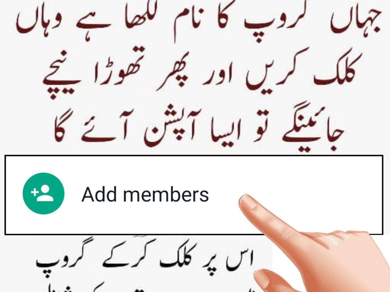 Profile Header Image