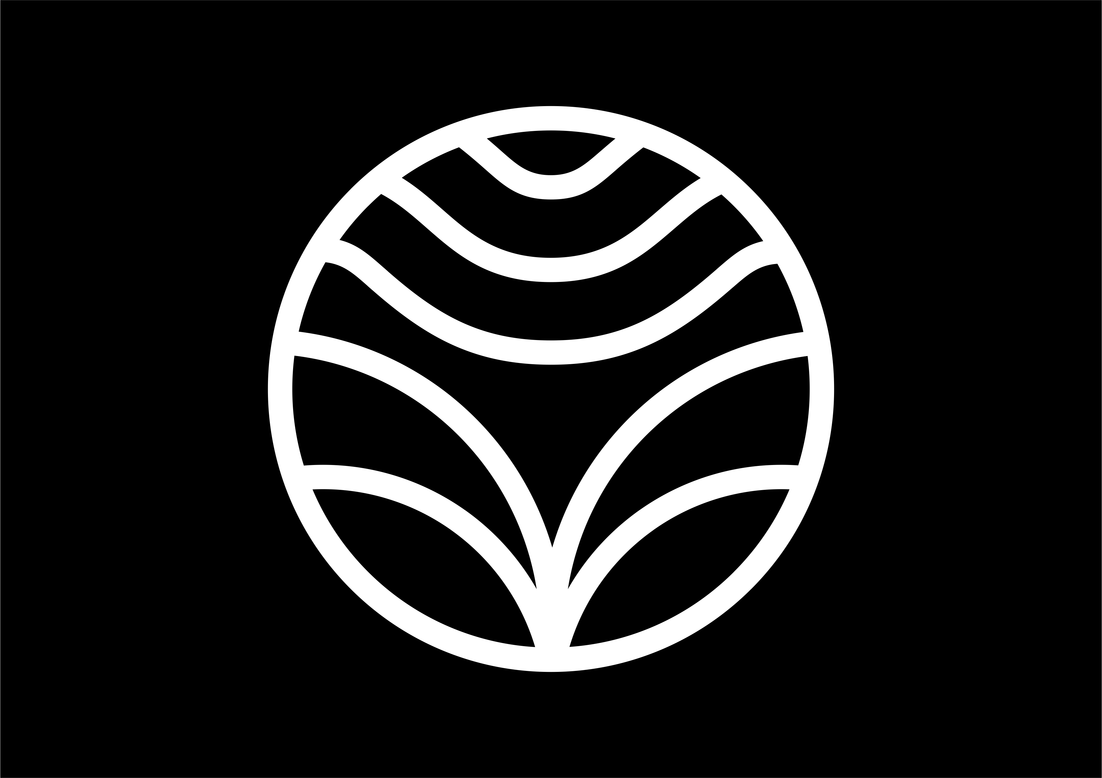 Fountain of Youth Direct Primary Care logo