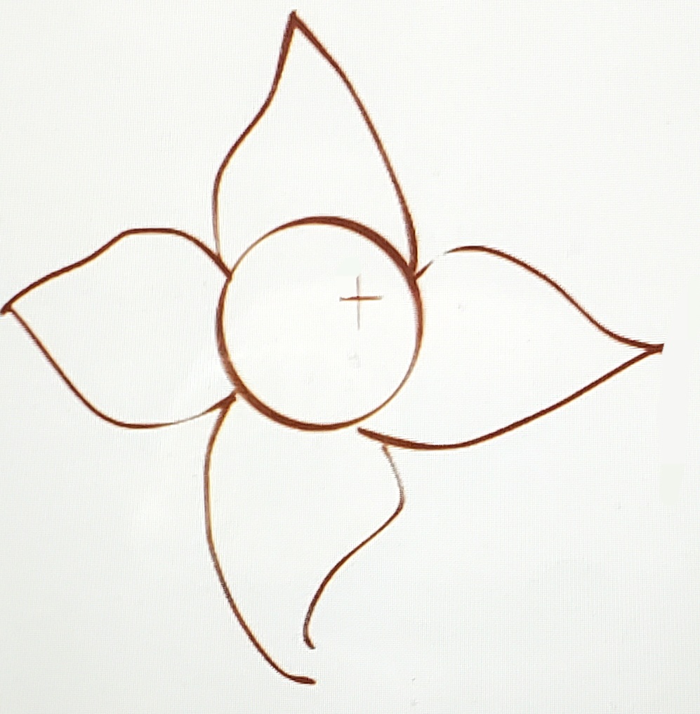 Emily Carle FNP DPC logo