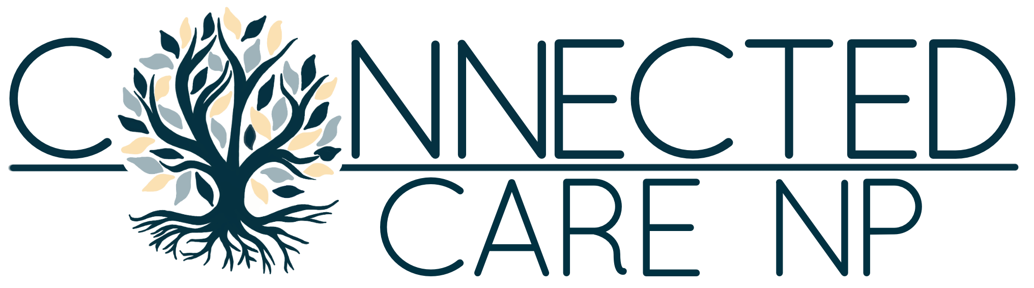 Connected Care NP Logo