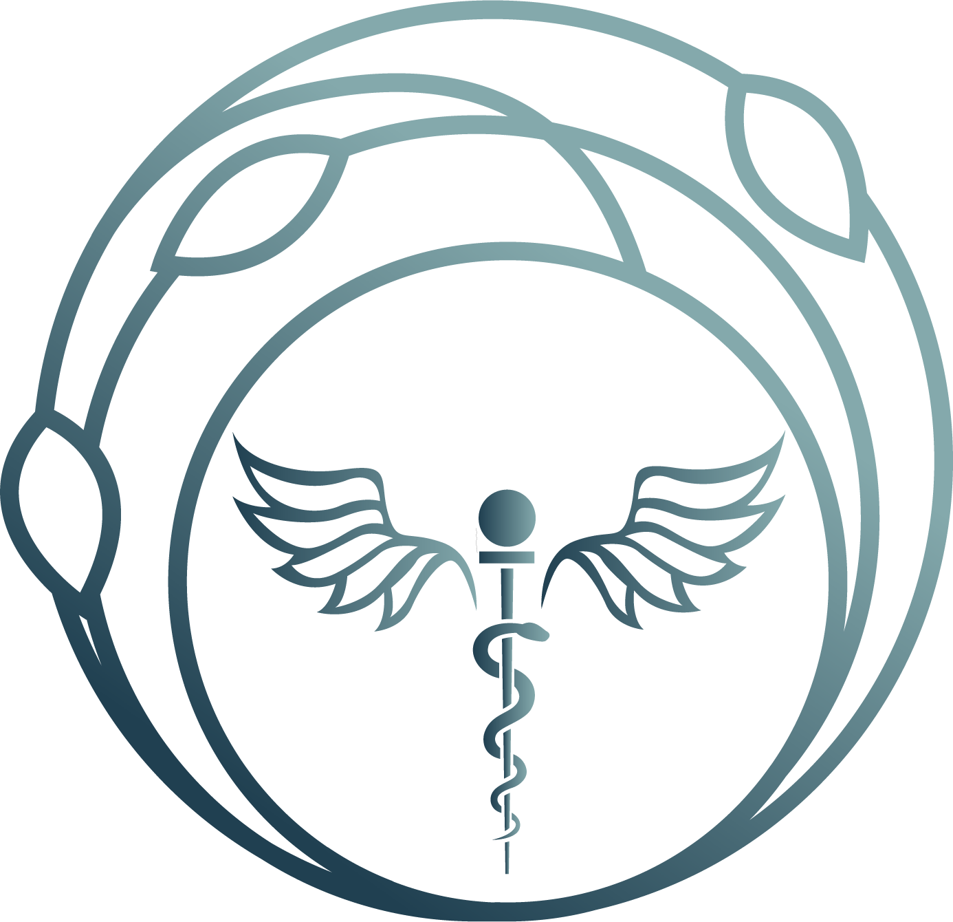 Premier Primary Care and Wellness logo