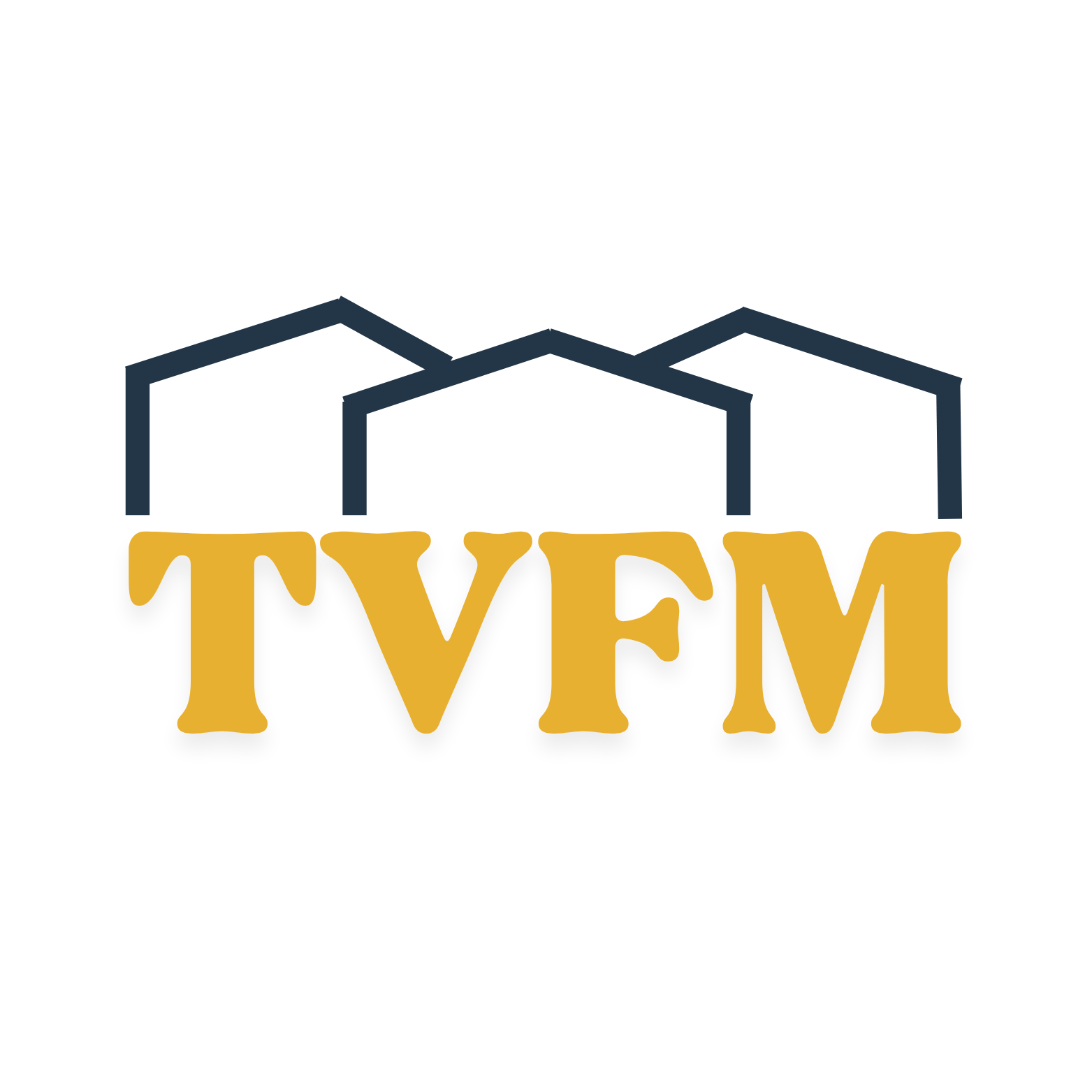 The Village Family Medicine logo