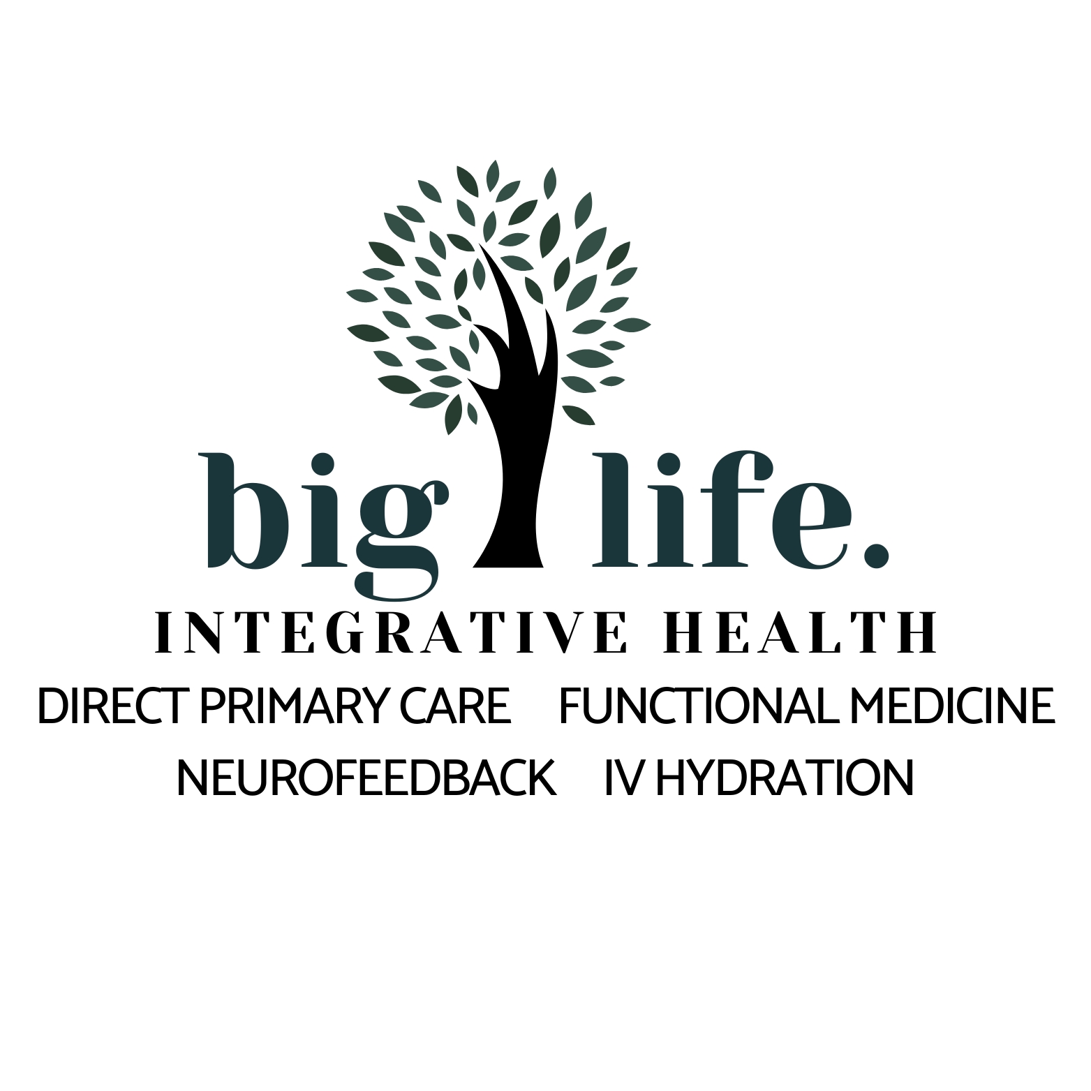 Big Life Integrative Health Logo