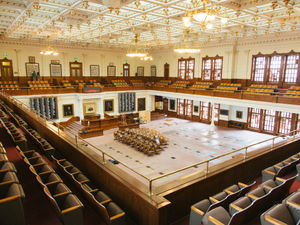 My brother and I were poking around the Texas State Capitol while the legislature was out of session. This picture captures the feeling of helplessness in our current political situation.