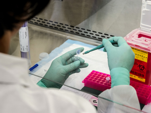 This image depicts a Centers for Disease Control and Prevention (CDC) scientist, who was punching holes in a card containing the genes of an inactivated virus . The scientist was using a disposable biopsy punch, expelling the punches into a buffer. The viral genetic material is then separated from the punches, and placed into a solution. Subsequently, the viral RNA is extracted, and subjected to molecular testing. Photographer James Gathany