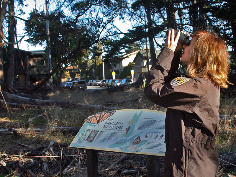 Samantha Marcum, monarch butterfly conservation coordinator for the U.S. Fish and Wildlife Service's Pacific Southwest Region, looks through binoculars for monarch butterflies.