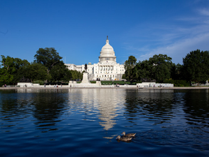 U.S. Capitol Building in Washington D.C.
