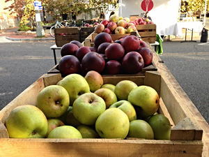 20141109-OC-LSC-0020