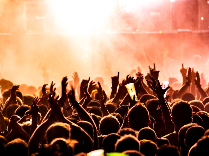 Crowd of people cheering at a live concert