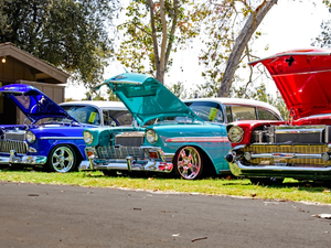 Car Show