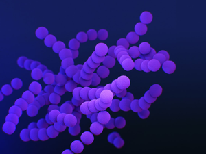 Medical illustration of clindamycin-resistant group B Streptococcus bacteria