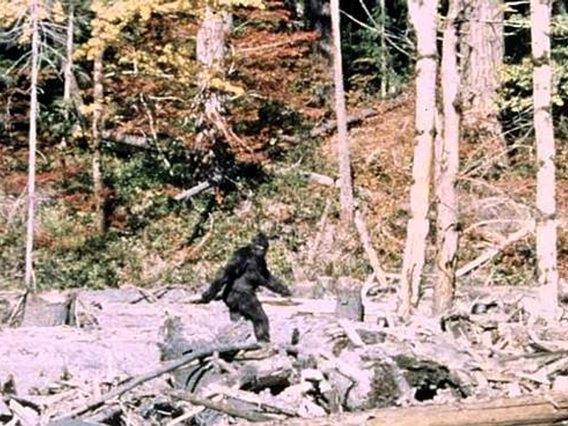 Bigfoot