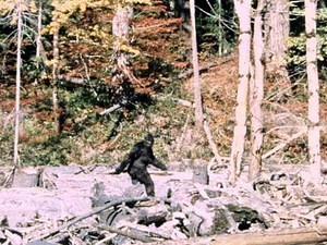 Bigfoot