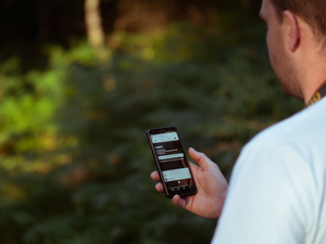 person holding smartphone