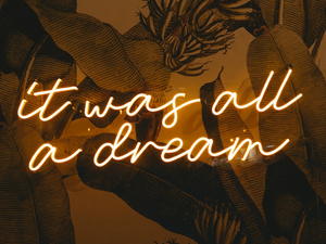 a neon sign that says it was all a dream