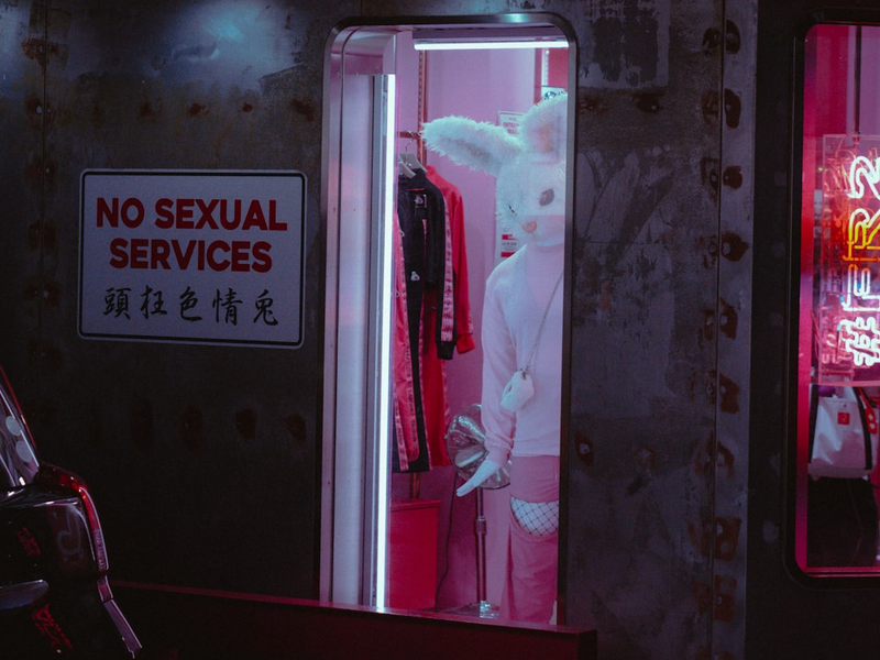 NO horny business allowed. Bunnies are watching