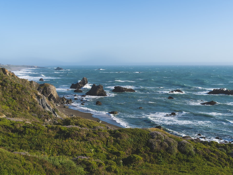 green grass field near body of water during daytime