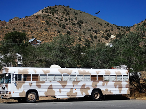 The bus