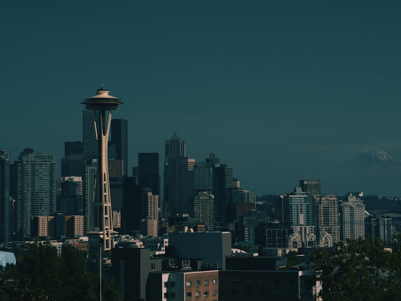 city skyline during night time