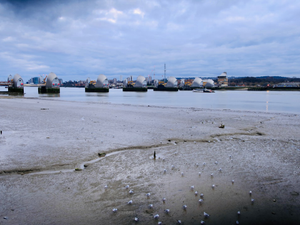 Thames foreshore at low tide, with the Thames Barrier in the background