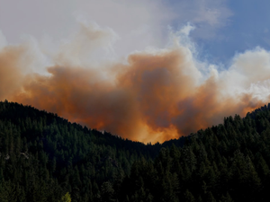Taken on the day the calwood fire started from the peak to peak highway. Showing the smoke plume created from the fire after growing to 8000 acres within the first 5 hours.