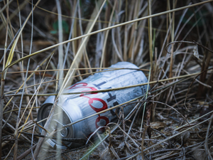 A beer can found during a beach cleanup in the Northeast US. Plastic pollution, marine debris, and litter trash our world's coastlines. We can all do a better job of respecting natural places by using less plastic in our daily routine, and picking up debris when we see it on the beach. Follow on Instagram @wildlife_by_yuri, and find more free plastic pollution photos at: https://www.wildlifebyyuri.com/free-ocean-photography