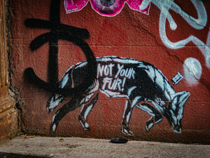 a pig painted on the side of a building