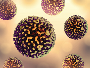 Hepatitis B Virus Layout featuring colorized 3D print imagery of hepatitis B virus. Note: Not to scale. Credit: NIAID https://www.flickr.com/photos/niaid/53102402979/