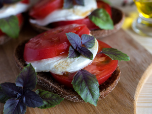 Close up of caprese on bread slices