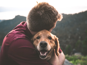 The Happy Doggo