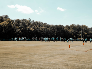 a group of people on a field
