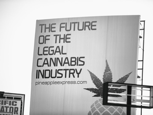 The Future of the Legal Cannabis Industry