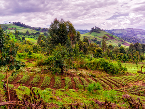 Beyond The Borders Of Virunga National Park