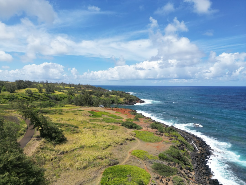 An aerial view of a beach and ocean