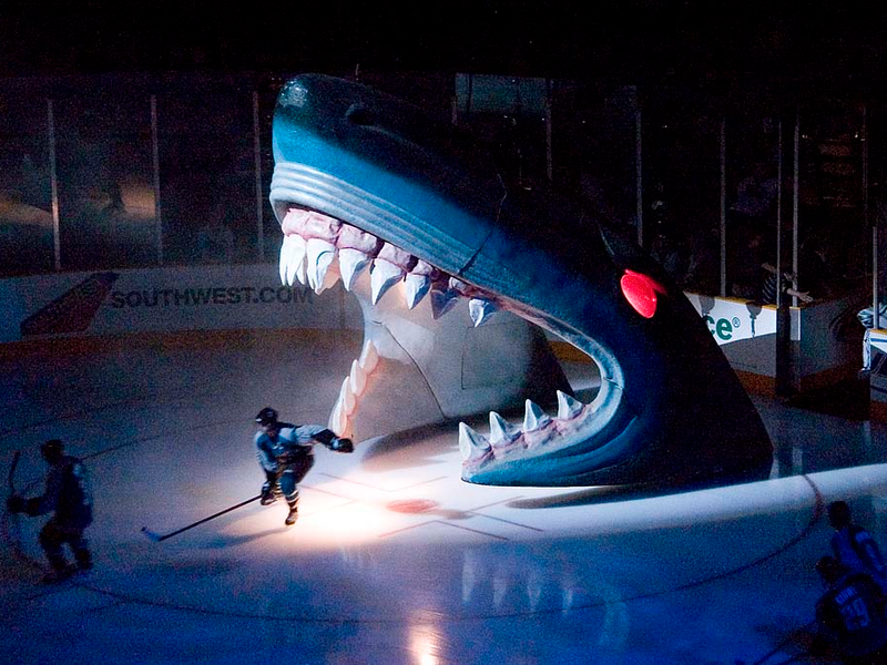 Shark head at SAP center