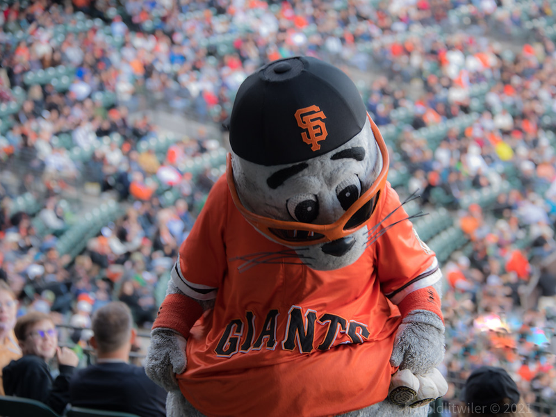 San Francisco Giants Mascot, Lou Seal