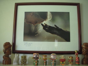 Jane Goodall