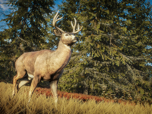TheHunter: Call of the Wild / Nature Documentary