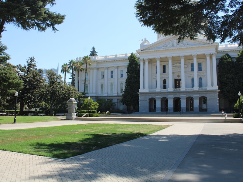 Neoclassical Capitol Building with Lawn and Palm Trees A stately neoclassical building viewed from a distance, featuring a manicured lawn and palm trees in the foreground. Sunny, calm weather evokes institutional grandeur.