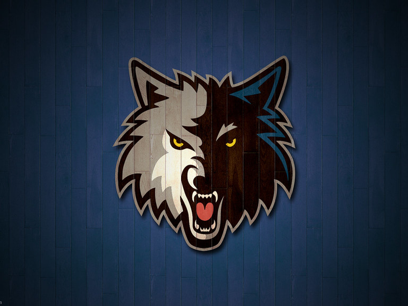 2013 Minnesota Timberwolves 2