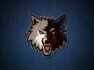 2013 Minnesota Timberwolves 2