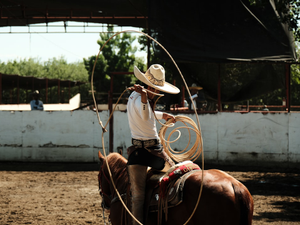 a man in a cowboy hat riding a horse