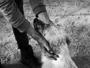 Helping hands
