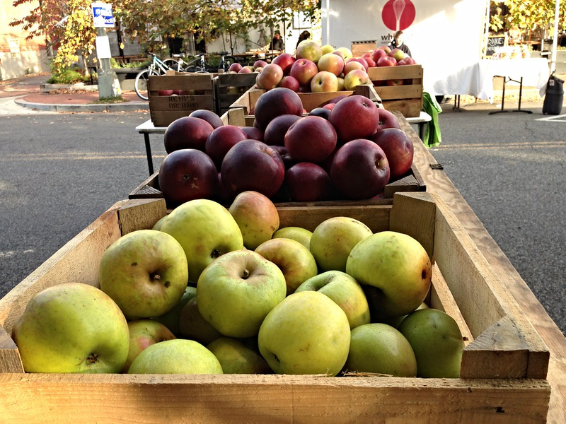 20141109-OC-LSC-0020