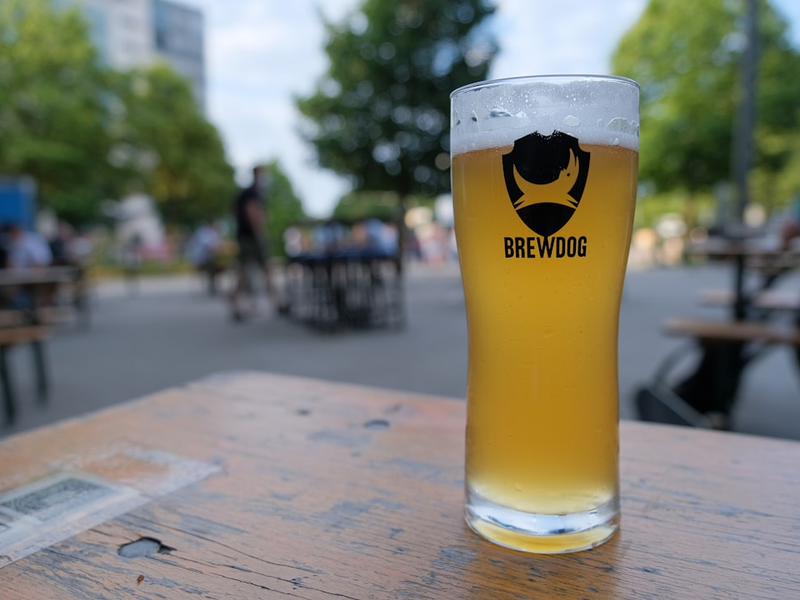 clear drinking glass with beer on brown wooden table