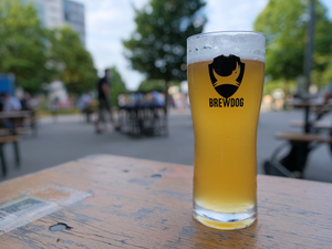 clear drinking glass with beer on brown wooden table